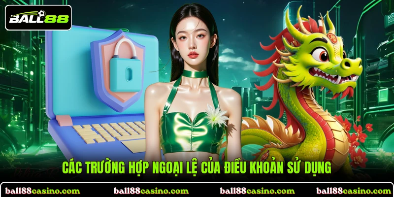 Các trường hợp ngoại lệ của điều khoản sử dụng